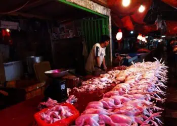 Di Lebak, MBG Diduga Turut Picu Kenaikan Harga Daging dan Telur Ayam