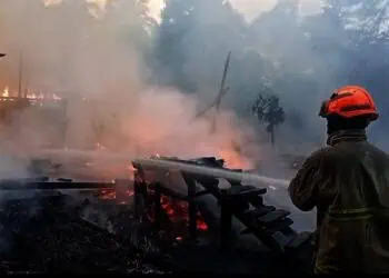 Kandang Berisi Ribuan Ayam di Lebak Terbakar, Kerugian Ratusan Juta