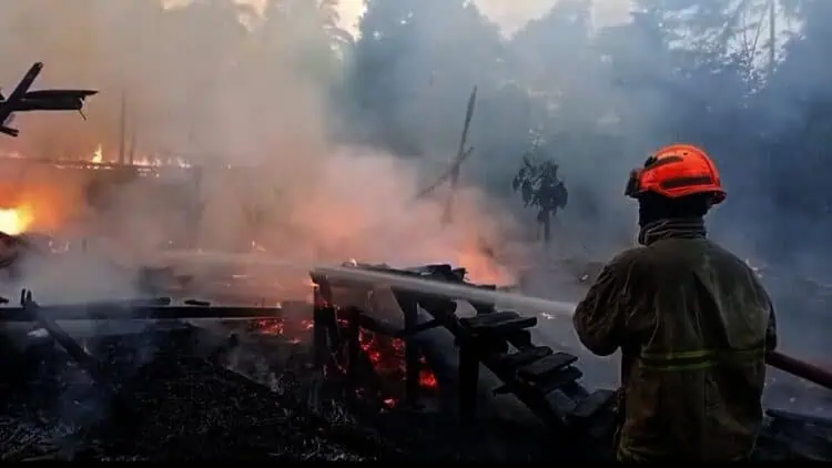 Kandang Berisi Ribuan Ayam di Lebak Terbakar, Kerugian Ratusan Juta