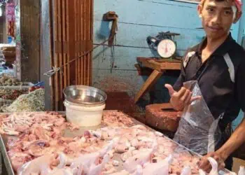 Harga Ayam Tembus Rp 40 Ribu, Ibu Rumah Tangga di Rajeg Mengeluh