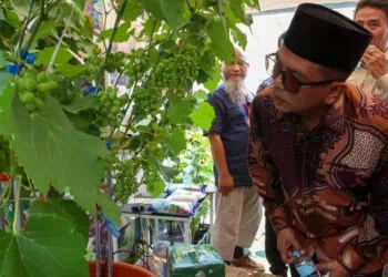 Pertanian Bagian dari Investasi, Gubernur Andra Janji Perhatikan Nasib Petani