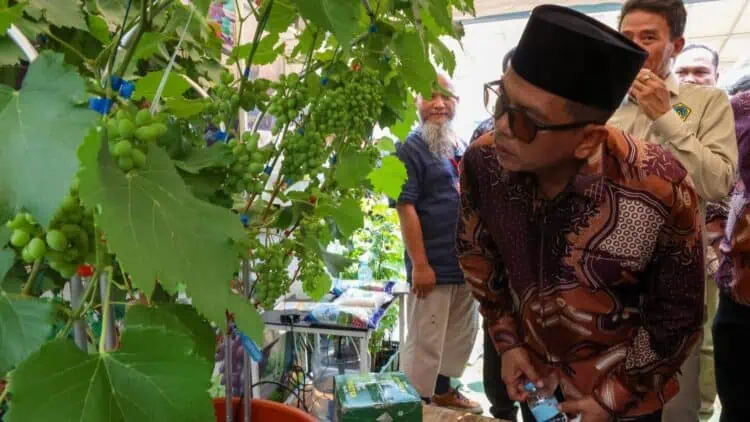 Pertanian Bagian dari Investasi, Gubernur Andra Janji Perhatikan Nasib Petani