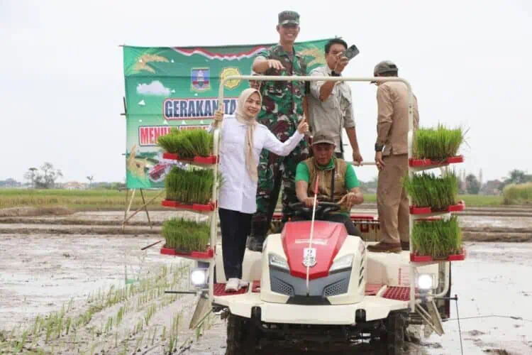 Naiki Transplanter, Bupati Zakiyah Lakukan Percepatan Tanam Padi di Kramatwatu