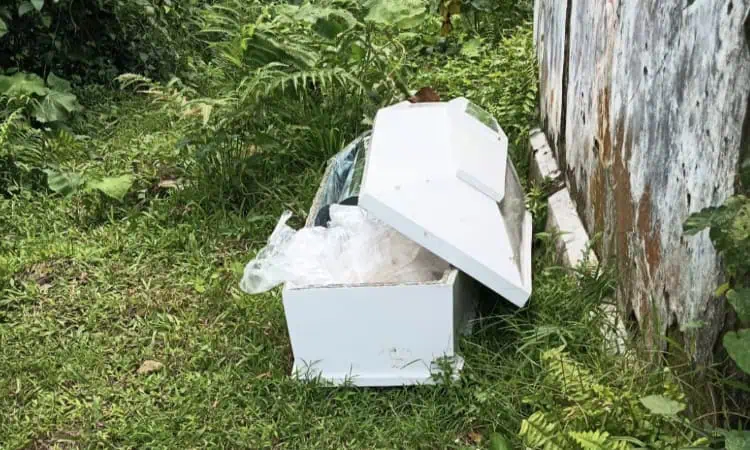 Peti Jenazah Ditemukan di Kebun Karet, Warga Lebak Heboh