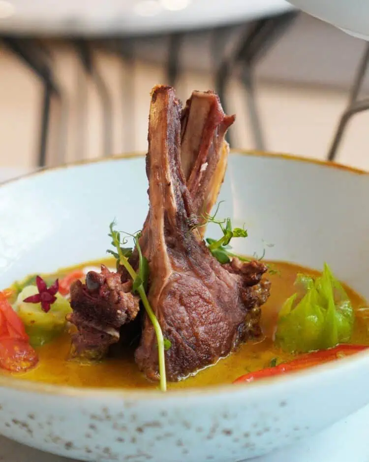 Pan Seared Snapper Herb with Thai Red Curry Sauce