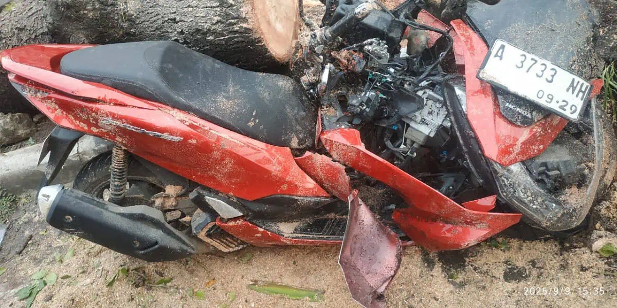 Hujan Deras, Pohon Tumbang Timpa Motor di Jatiuwung Hingga Ringsek