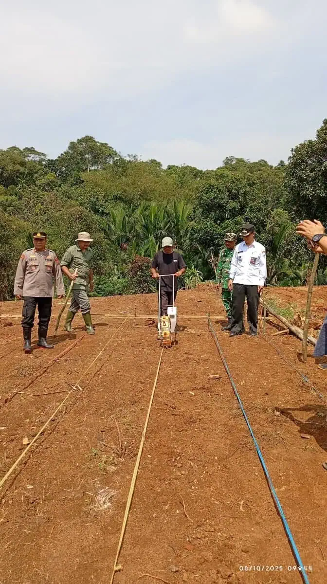 Cijantung Bojong Pandeglang Jadi Sentra Penanaman Jagung