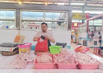 Harga Daging Ayam di Tangsel Melonjak, Pedagang dan Pembeli Mengeluh