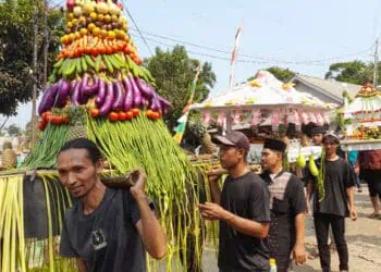 Sedekah Bumi Jelang Masa Tanam, Tradisi Masyarakat Kalapa Cagak Pandeglang yang Tetap Lestari