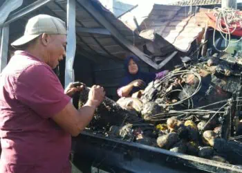 Diduga Akibat Korsleting Listrik, Kios Buah di Ciekek Dinamo Pandeglang Ludes Terbakar