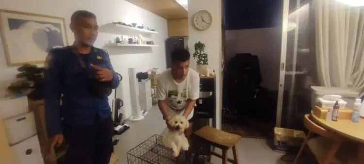 Dalam Sehari, Damkar Tangsel Tangkap Ular Hingga Selamatkan Anjing Tertusuk Besi