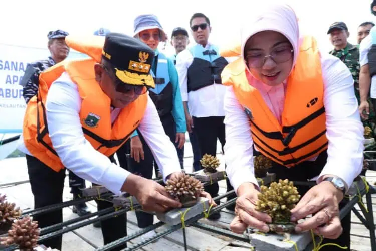 Pulihkan Habitat Laut Melalui Penenggelaman Apartemen Ikan dan Pengkayaan Coral Stock Center