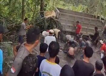 Truk Bermuatan Semen Terbalik di Pandeglang, Dua Tewas dan Dua Orang Lainnya Luka Berat