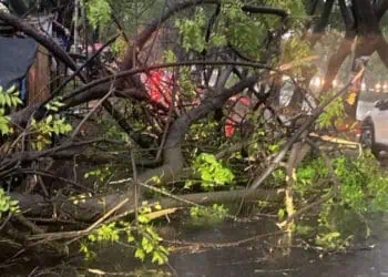 Hujan Deras Terjang Kota Tangerang, Pohon Tumbang dan Banjir di Sejumlah Titik