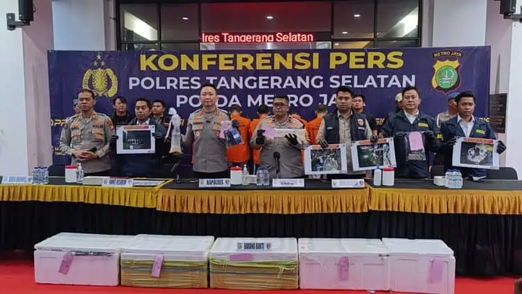Truk Bongkar Muatan di Pinggir Jalan, Ternyata Bawa Lobster Ilegal