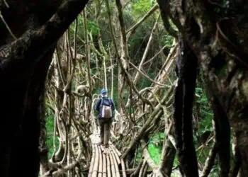 WNA Dilarang Kunjungi Baduy Dalam-Kampung Gajeboh Lebak, Ini Alasannya