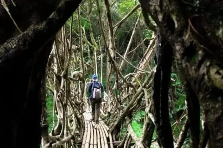 WNA Dilarang Kunjungi Baduy Dalam-Kampung Gajeboh Lebak, Ini Alasannya