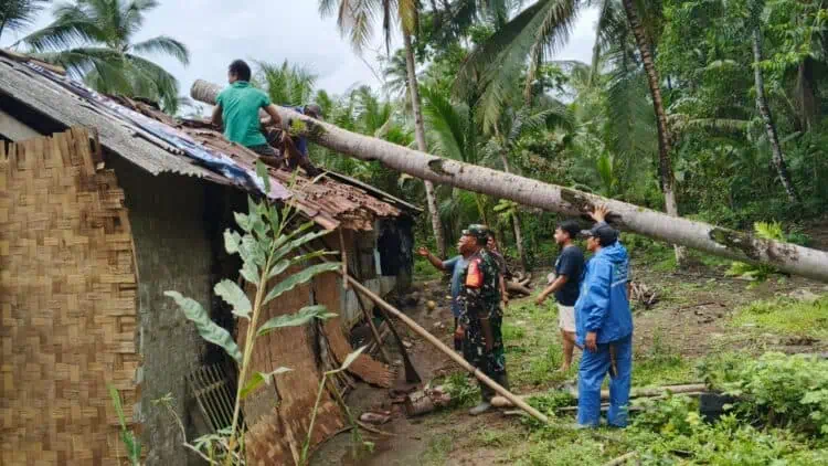 Tertimpa Pohon Tumbang, Atap Ponpes dan Rumah di Pandeglang Porak Poranda