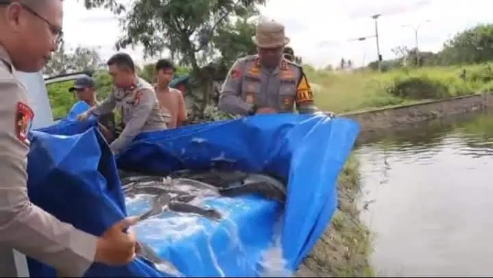 Kapolres Serang Tebar Ratusan Ikan Lele Sangkuriang di Danau Puspemkab