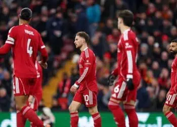 The Reds Solid, Los Blancos Tumpul