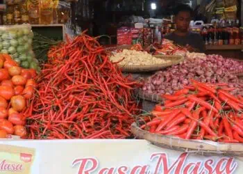 Harga Cabai di Kota Tangerang Menurun