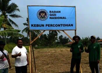 Anggota DPRD Pandeglang Gagas Kebun Percontohan untuk Menopang Dapur MBG