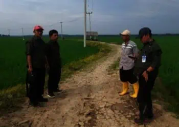 JUT Diklaim Mudahkan Petani, Dinas Pertanian Banten Targetkan Lima Tahun Rampung