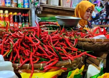 Jelang Pergantian Tahun, Pemprov Banten Kesulitan Kendalikan Harga Cabai