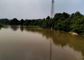 SUNGAI CIUJUNG : Aliran sungai ciujung di Desa Kolelet, Kecamatan Rangkasbitung bakal dijadikan sebagI tanggul dan lahan di bantaran sungai akan dibebaskan. Hingga saat ini, pihak BBWSC3 belum memasukan program tersebut dalam skala prioritas. (ISTIMEWA)