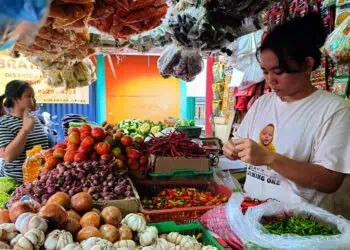 Stok Menipis, Harga Pangan Melonjak di Kota Tangsel