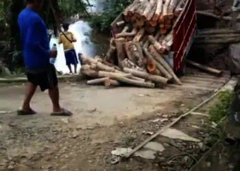 JEMBATAN AMBRUK - Jembatan Pasirnangka, Desa Kramatjaya, Kecamatan Cimanggu, Kabupaten Pandeglang, ambruk, akibat kondisinya yang sudah lapuk dimakan usia. (ISTIMEWA)