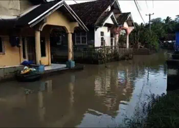 BERANGSUR SURUT - Banjir yang sebelumnya melanda wilayah Desa Idaman, Kecamatan Patia, Kabupaten Pandeglang, dan beberapa kecamatan lainnya, kini berangsur surut, dan aktivitas masyarakat mulai normal. (ISTIMEWA)