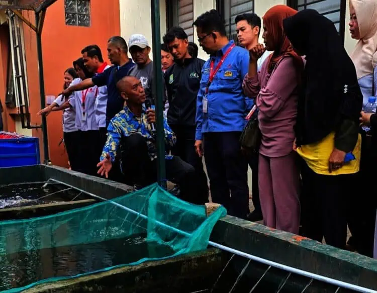 Dari UMKM hingga Ketahanan Pangan, Ini Deretan CSR Mayora Indah Region Jatake yang Tuai Apresiasi