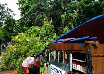 Hujan Angin Landa Kota Tangerang, Pohon Tumbang Timpa Warkop