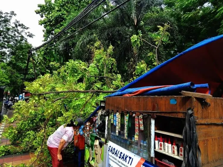 Hujan Angin Landa Kota Tangerang, Pohon Tumbang Timpa Warkop