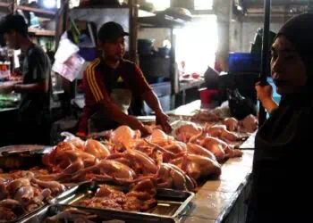 Jelang Nataru Harga Ayam Melonjak di Batuceper