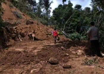 Tebing 50 Meter di Lebak Longsor, Nyaris Timbun Warga