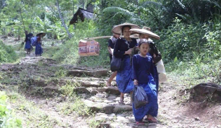 Sepanjang 2025, Puluhan Warga Baduy Digigit Ular Berbisa, 11 Orang Meninggal