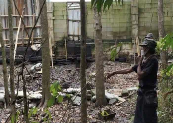 Bau Limbah Ayam Ganggu Warga Sindangmulya Lebak, Kades: Maunya Apa? Silakan