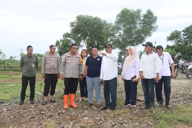 Lahan Jagung Tigaraksa Masih Berproses, DPKP Tegaskan Tidak Gagal Panen