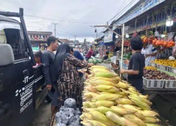 Jagung Tak Laku di Malam Tahun Baru, Pedagang di Lebak Pulang Gigit Jari