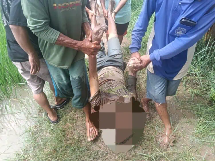 Lansia Ditemukan Tewas di Tengah Sawah Kronjo, Diduga ODGJ