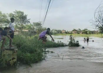 115 Rumah dan 35 Hektar Sawah di Pasir Ampo Kresek Kebanjiran