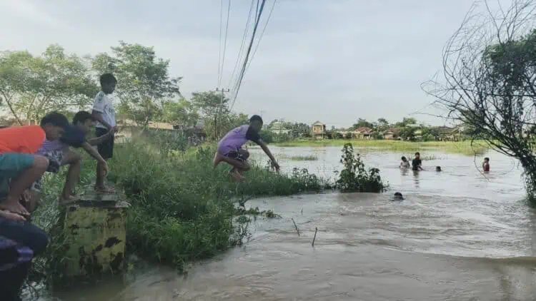 115 Rumah dan 35 Hektar Sawah di Pasir Ampo Kresek Kebanjiran
