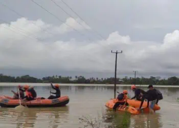 TERENDAM BANJIR : Ratusan hektare lahan pertanian di Banten, terendam banjir dan mengalami puso. (ISTIMEWA)