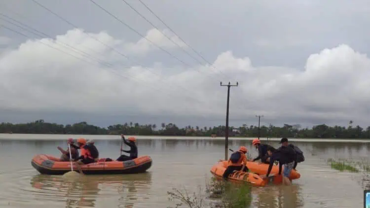 Terdampak Banjir, Seluas 178,5 Hektare Persawahan di Banten Alami Puso
