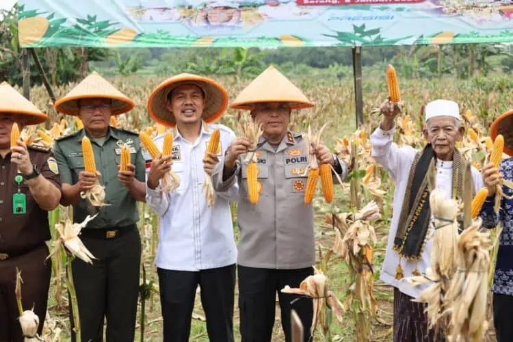 Di Lahan Pertanian Warga Kota Serang, Kapolda Banten Pimpin Panen Raya Jagung