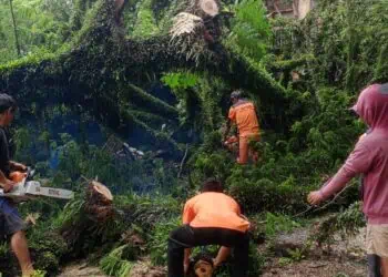 BENCANA - Cuaca buruk yang melanda sejumlah wilayah di Banten, mengakibatkan sebanyak 2.112 rumah terendam banjir, 2 rumah terdampak longsor dan 1 rumah terdampak angin kencang. Bencana tersebut, tersebar di 14 Desa 9 Kecamatan Se-Kabupaten Serang. (ISTIMEWA)