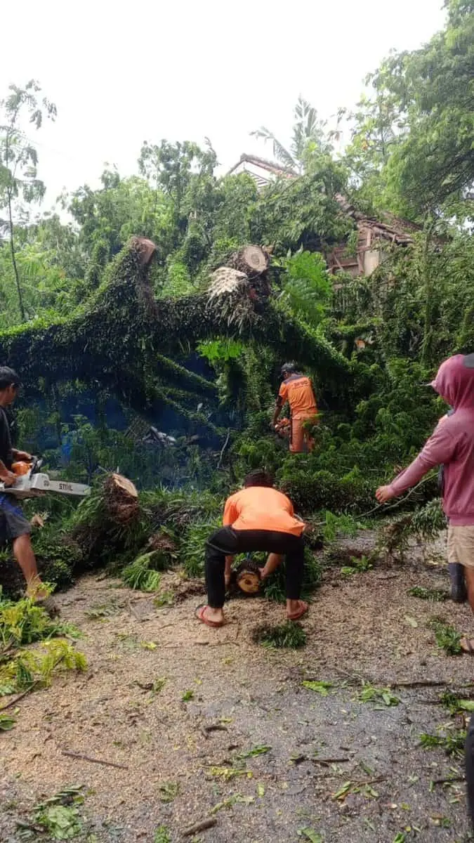 Banjir, Pohon Tumbang dan Longsor Melanda Kabupaten Serang, 2.115 Rumah Terdampak