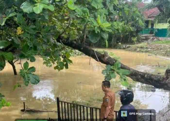 Dekat Sungai, Sejumlah SD di Kabupaten Serang Perlu Direlokasi